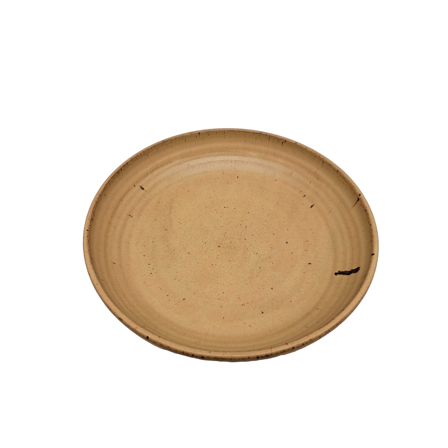 Large and Beautiful Ceramic Serving Bowl